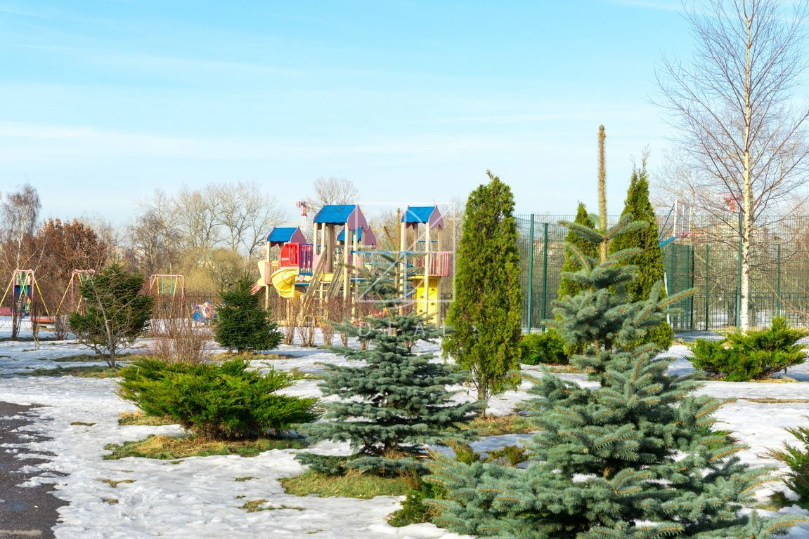 Детская площадка и парк "Александрино"